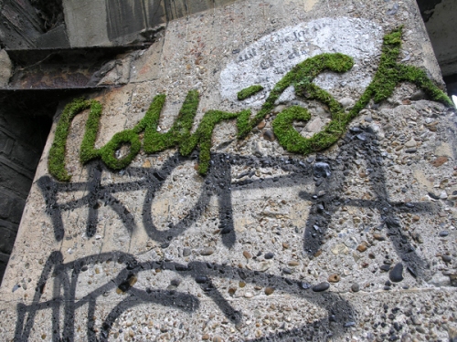 el&abe: Nourish moss grafitti