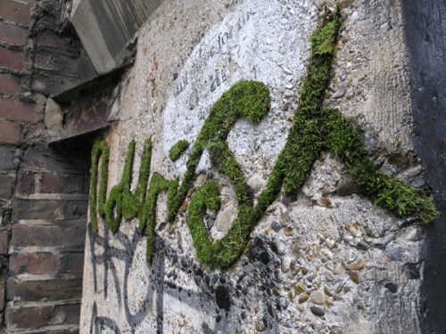 el&abe: Noursh moss graffiti